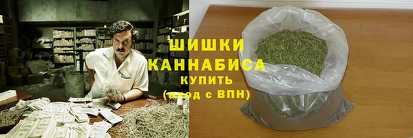 дживик Володарск