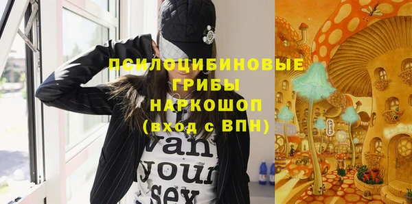 дживик Володарск
