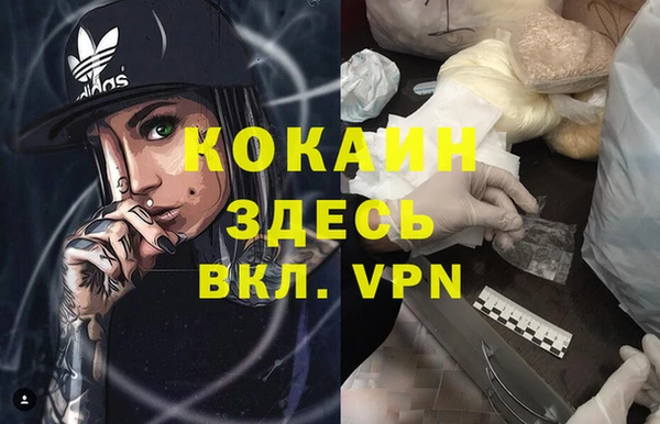 дживик Володарск