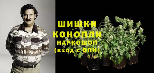 дживик Володарск