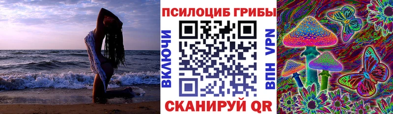 ОМГ ОМГ tor  Волчанск  Галлюциногенные грибы Psilocybe 